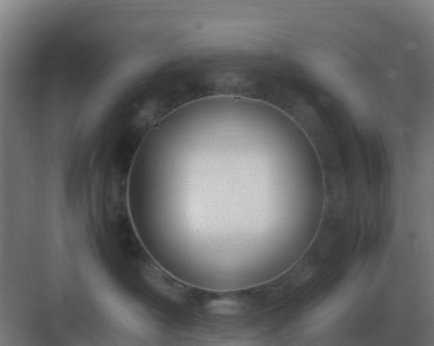 X0000083000430200702081905