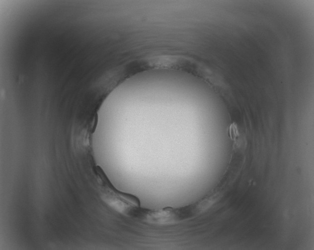 X0000083000431200702081905