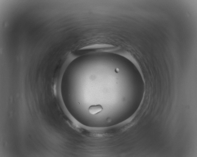 X0000083000432200702081905