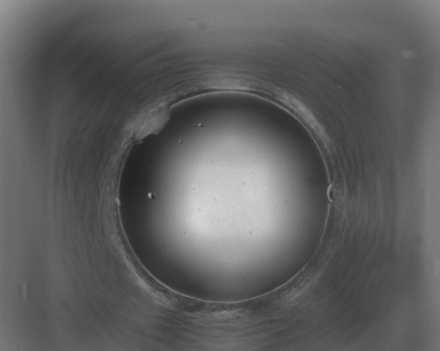 X0000083000433200702081904