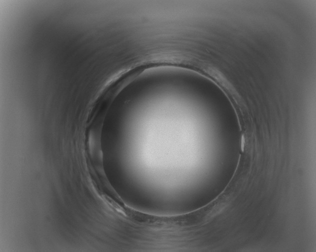 X0000083000434200702081904