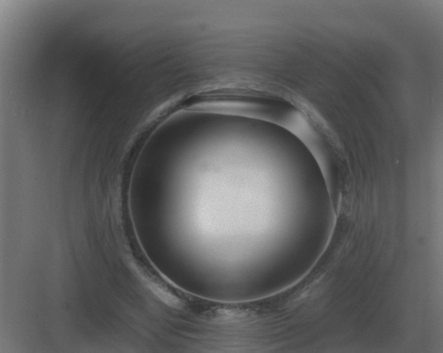 X0000083000442200702081904