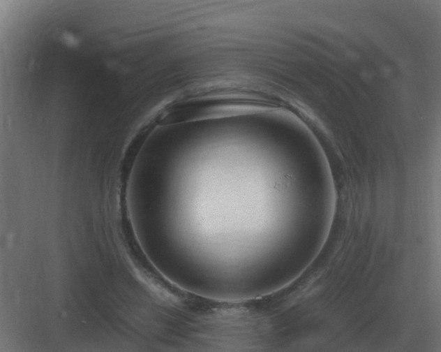 X0000083000446200702081904