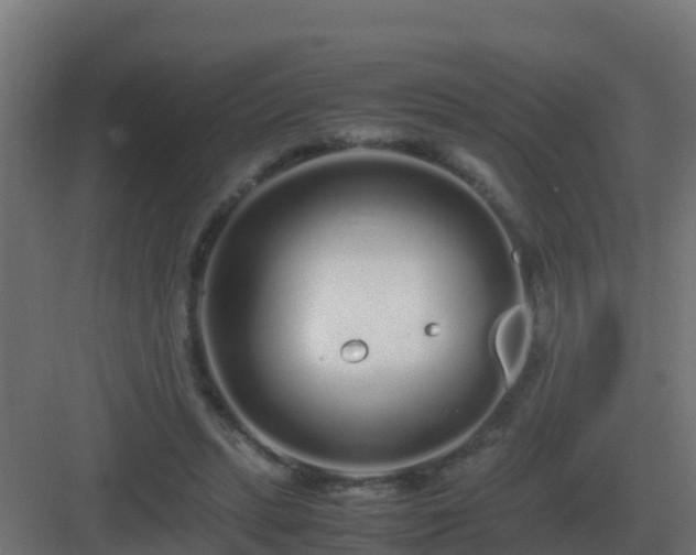 X0000083000447200702081904