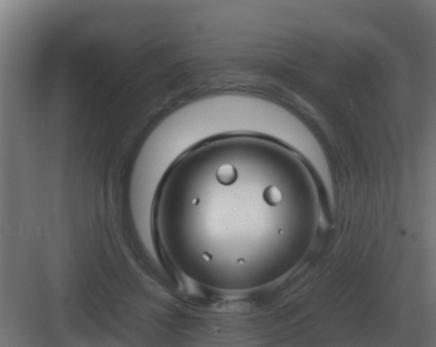 X0000083000452200702081905