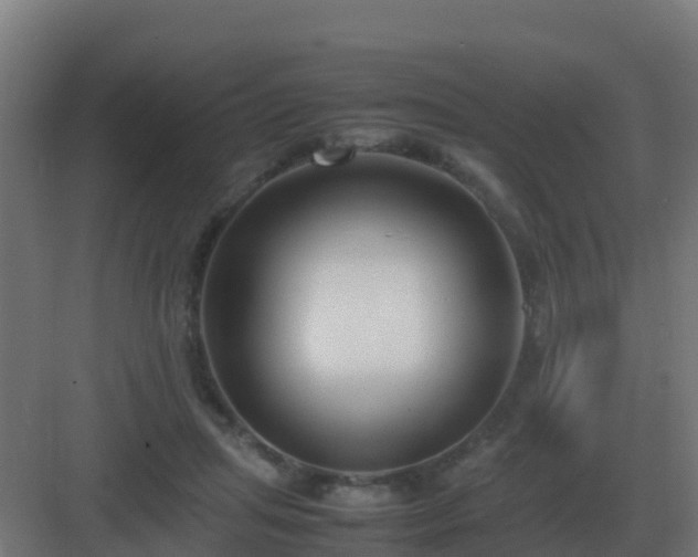 X0000083000455200702081905