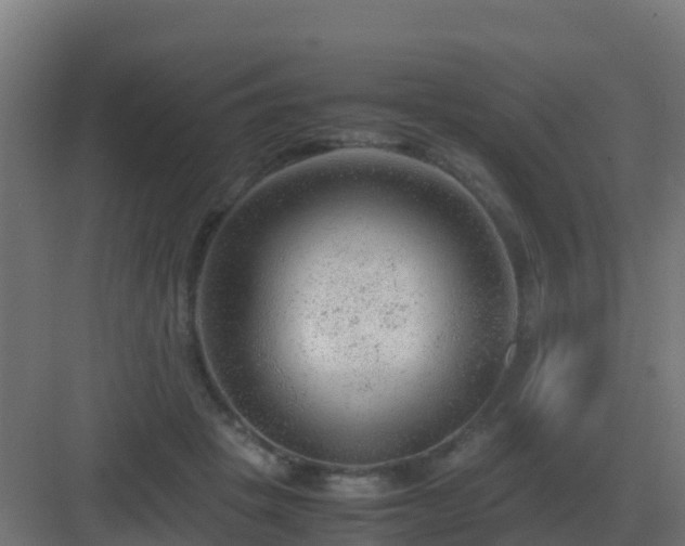 X0000083000457200702081905