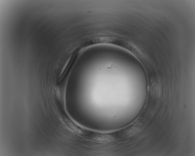 X0000083000459200702081905