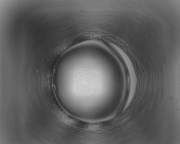 X0000083000462200702081905