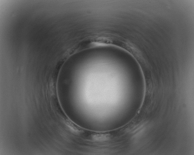 X0000083000465200702081905