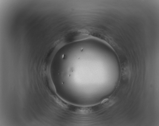 X0000083000466200702081905