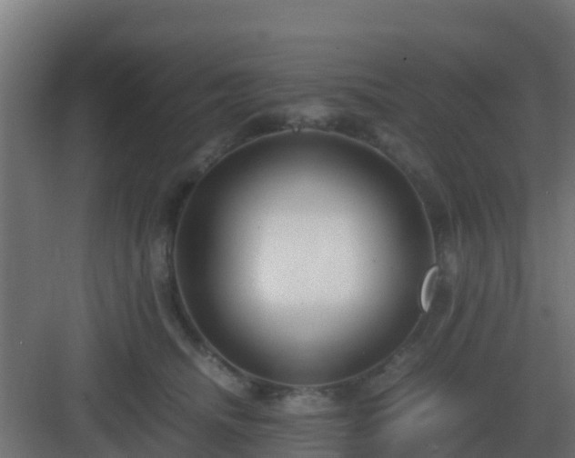 X0000083000468200702081905