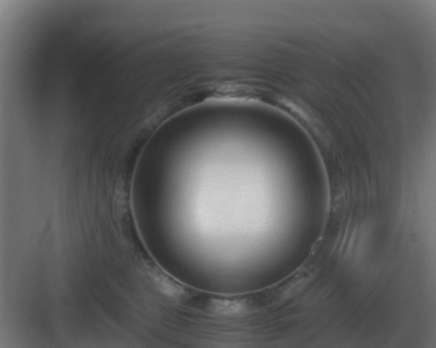 X0000083000469200702081905