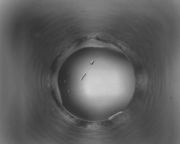 X0000083000470200702081905