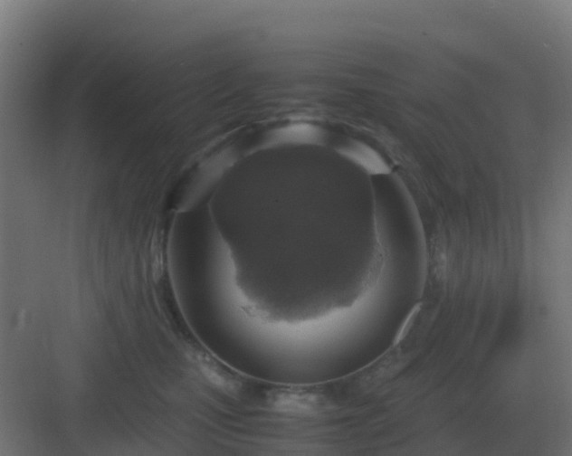 X0000083000471200702081905