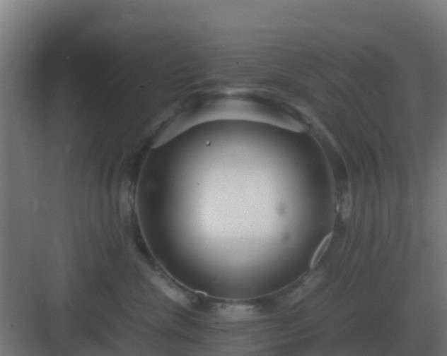 X0000083000476200702081905