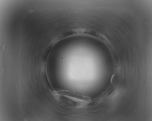 X0000083000477200702081905