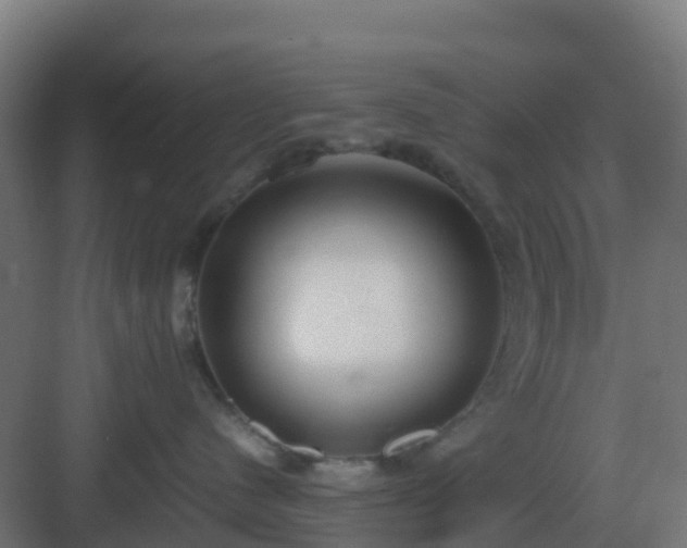 X0000083000480200702081905