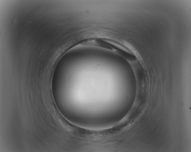 X0000083000481200702081904