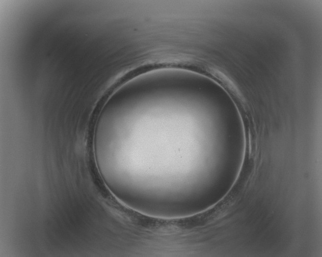 X0000083000483200702081904