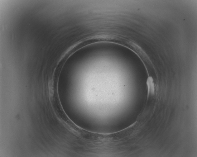 X0000083000484200702081904