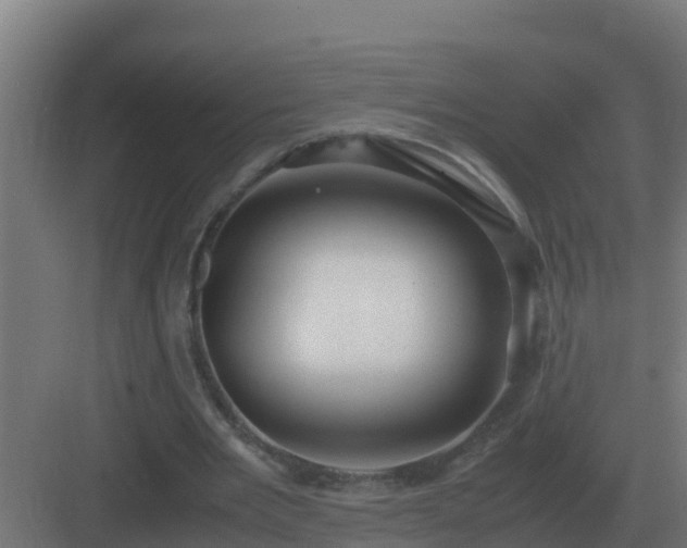 X0000083000485200702081904