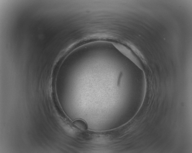 X0000083000486200702081904