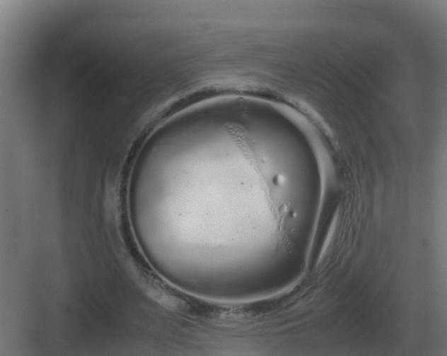 X0000083000487200702081904