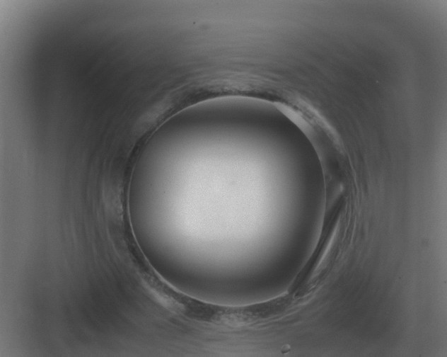 X0000083000489200702081904