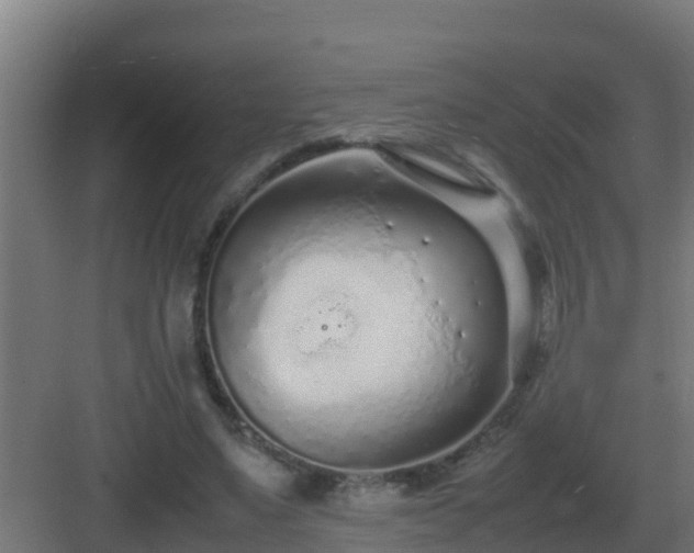 X0000083000491200702081904