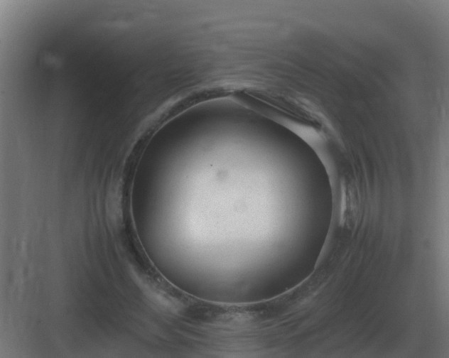 X0000083000492200702081904