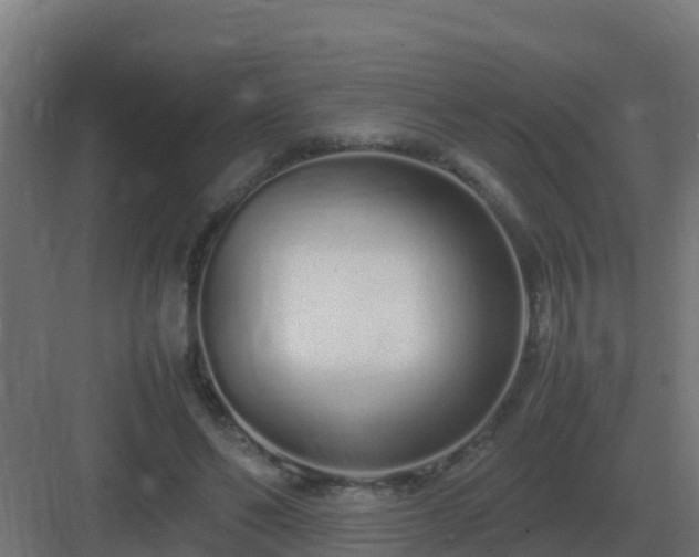 X0000083000494200702081904