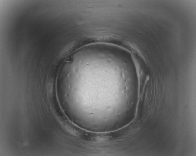 X0000083000495200702081904