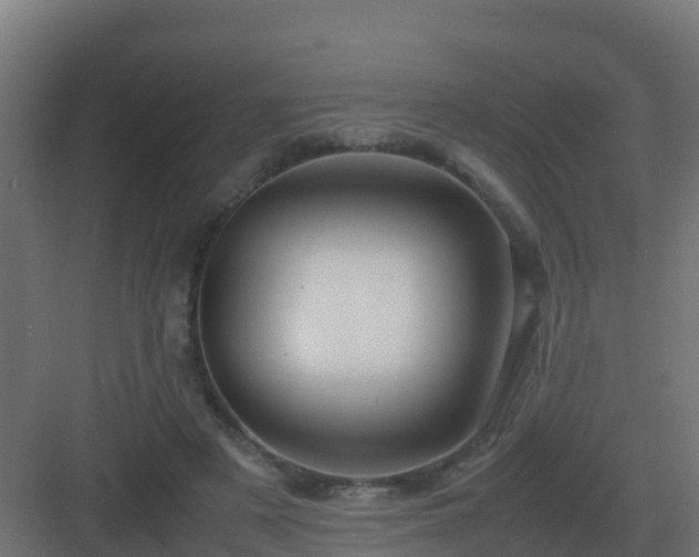 X0000083000497200702081904