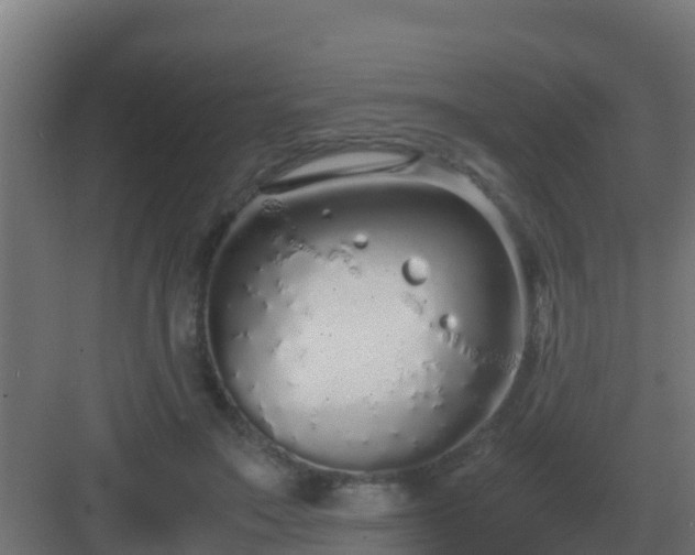 X0000083000499200702081904