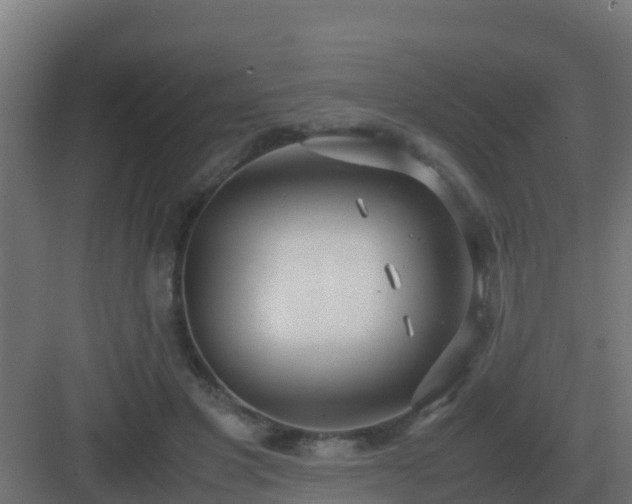 X0000083000501200702081904