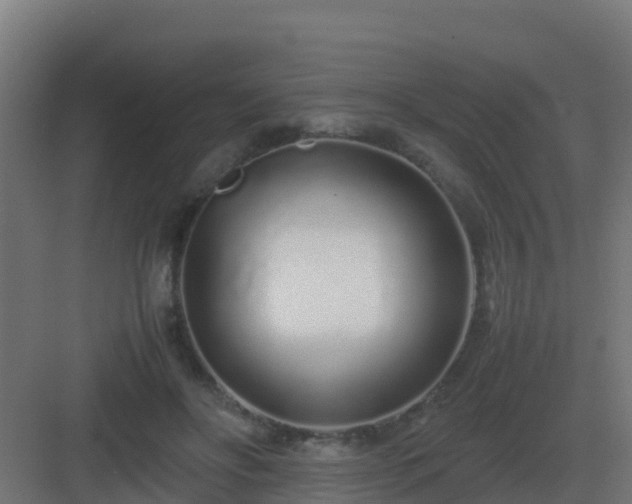 X0000083000502200702081904