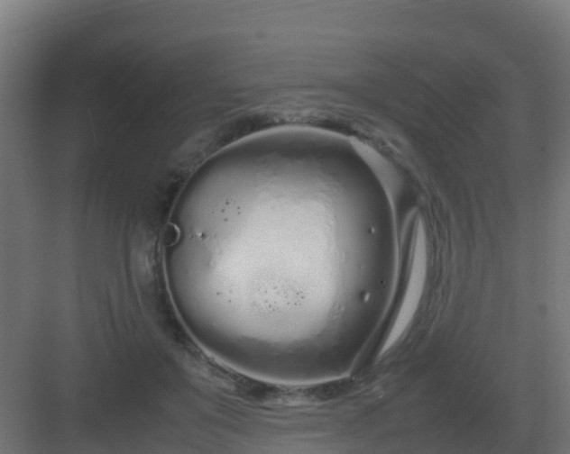 X0000083000503200702081904