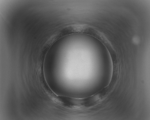 X0000083000505200702081904