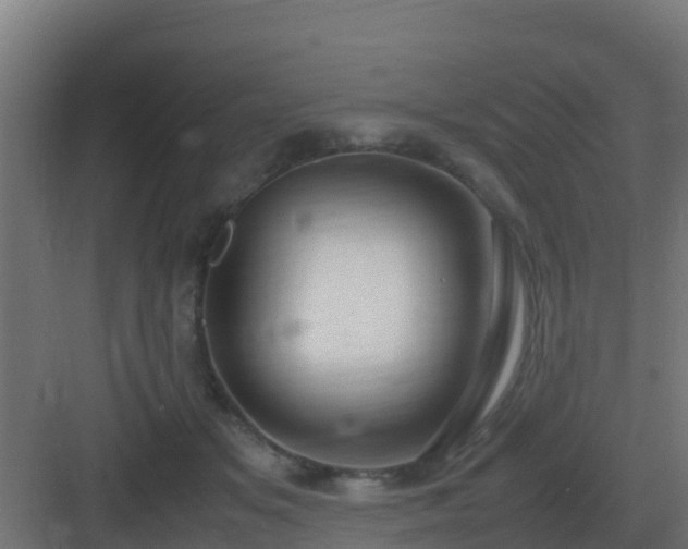 X0000083000509200702081904