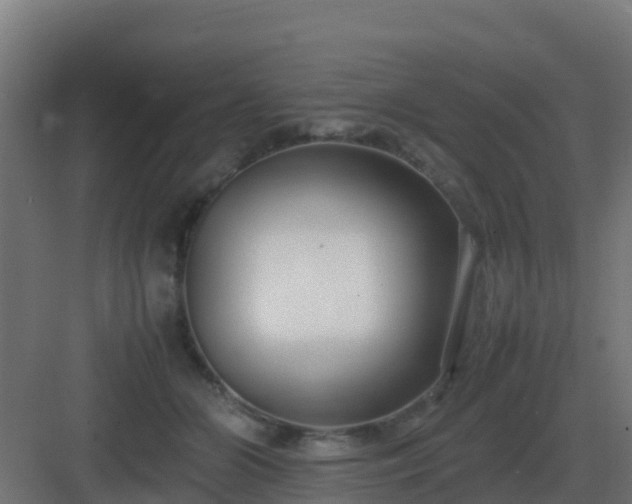 X0000083000510200702081904