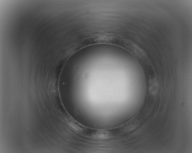 X0000083000514200702081904