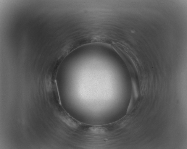 X0000083000520200702081904