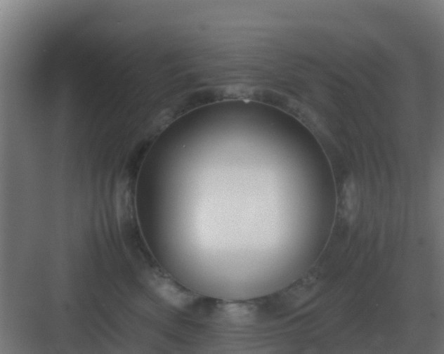 X0000083000522200702081904