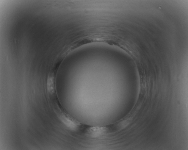 X0000083000526200702081903