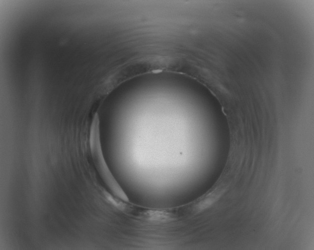 X0000083000528200702081903