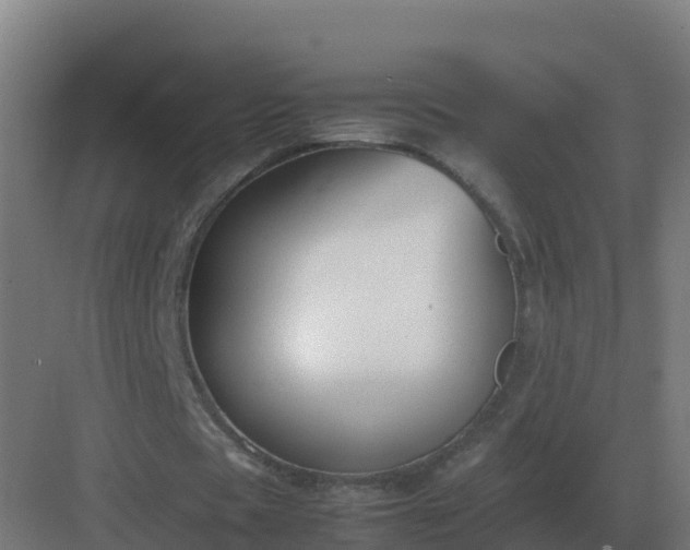 X0000083000529200702081903