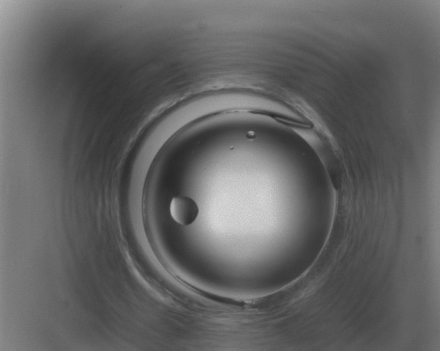 X0000083000530200702081903