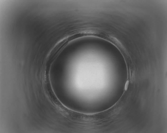 X0000083000531200702081903