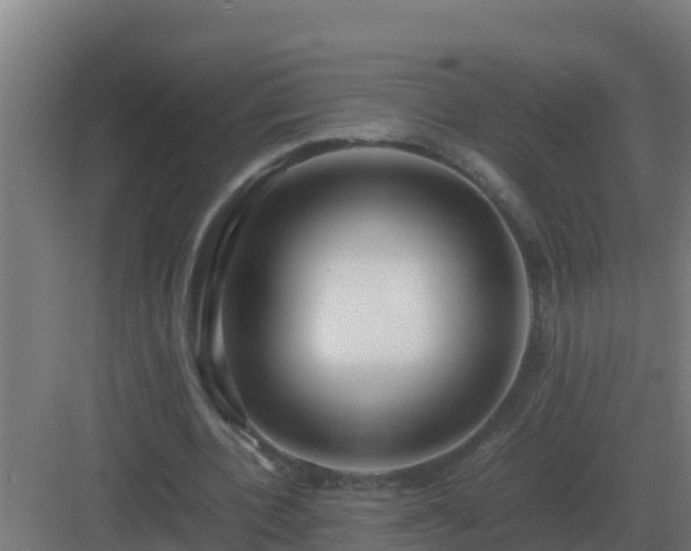 X0000083000532200702081903